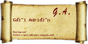 Gál Adrián névjegykártya